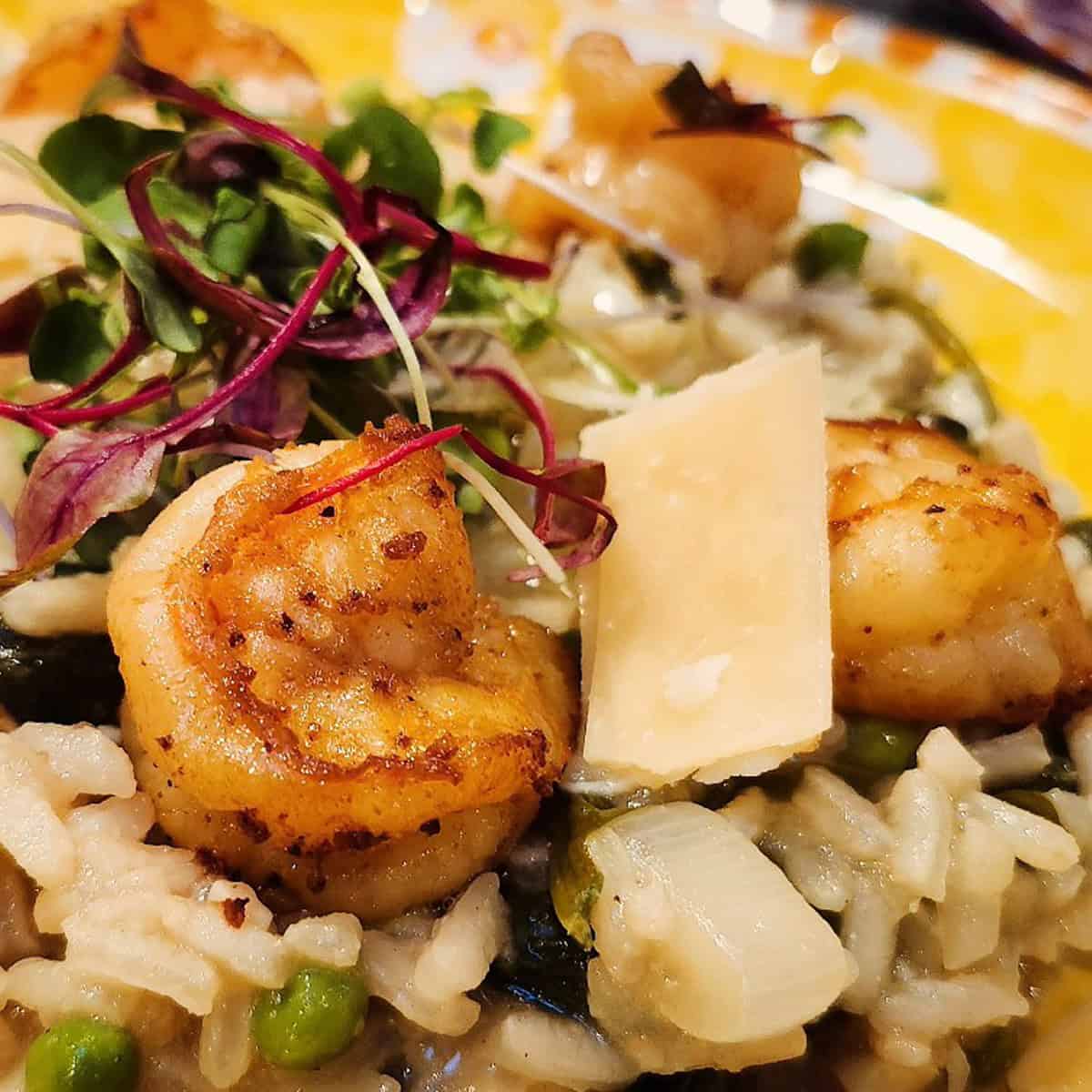 pan seared shrimp risotto